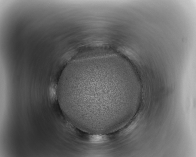 X0000093450432200710261105