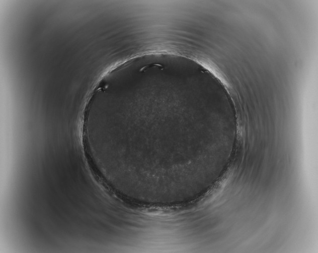 X0000093450434200710261104