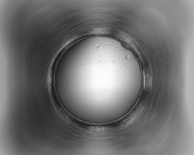 X0000093450435200710261104