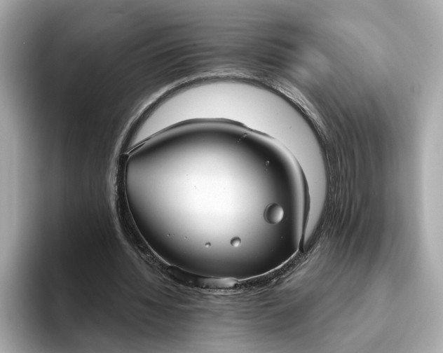 X0000093450436200710261104