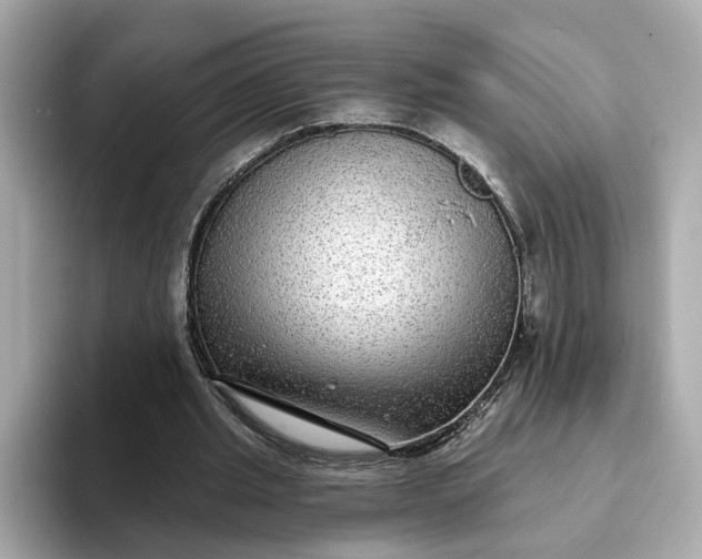 X0000093450437200710261104