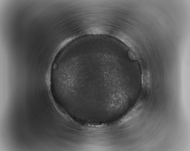 X0000093450438200710261104