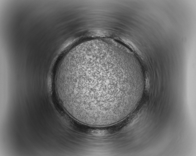 X0000093450444200710261104