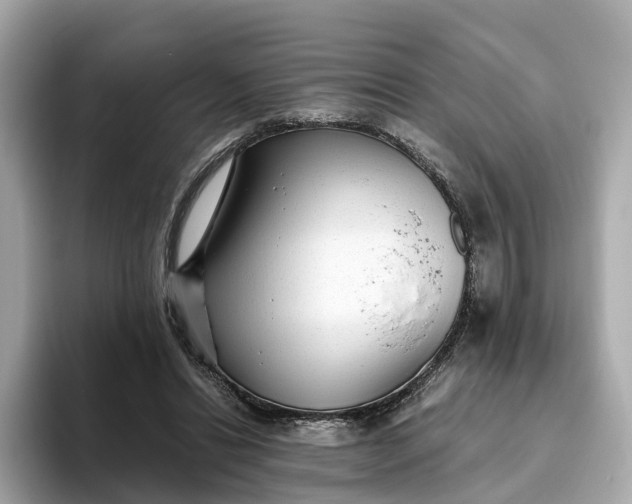 X0000093450446200710261104