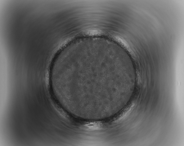 X0000093450447200710261104