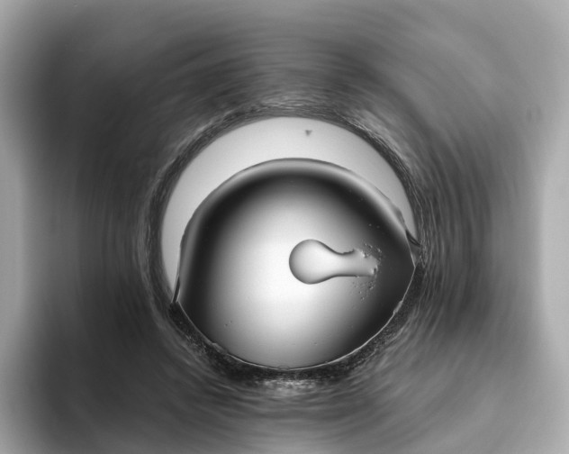 X0000093450448200710261104