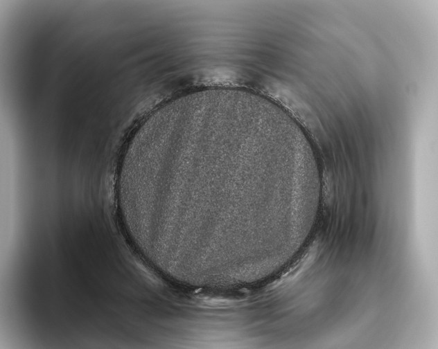 X0000093450449200710261104