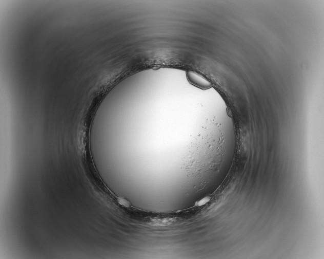 X0000093450450200710261104