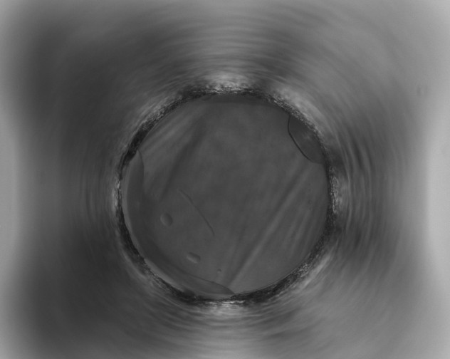 X0000093450451200710261104