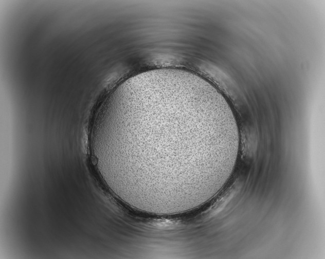 X0000093450453200710261104