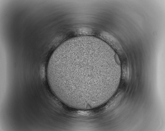 X0000093450457200710261104