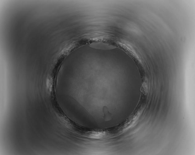 X0000093450458200710261104