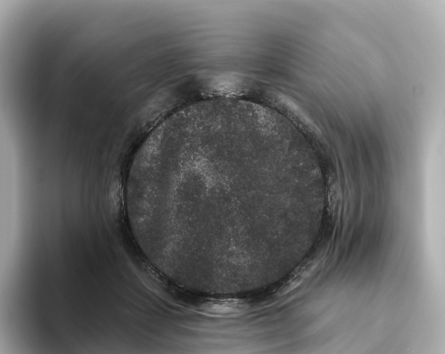 X0000093450459200710261104