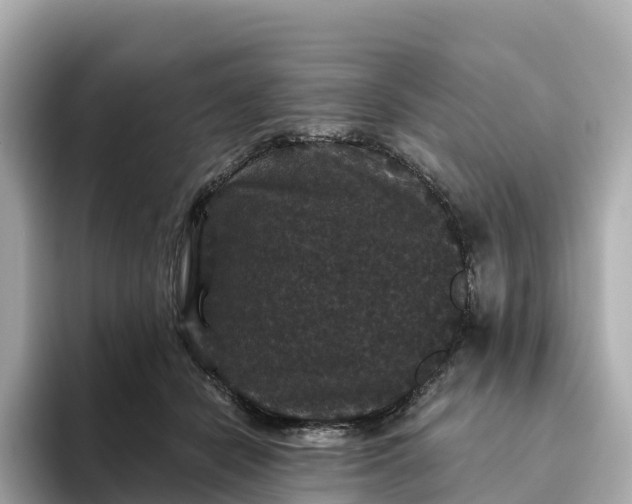 X0000093450462200710261104