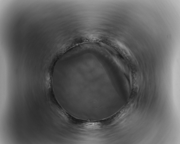 X0000093450465200710261104