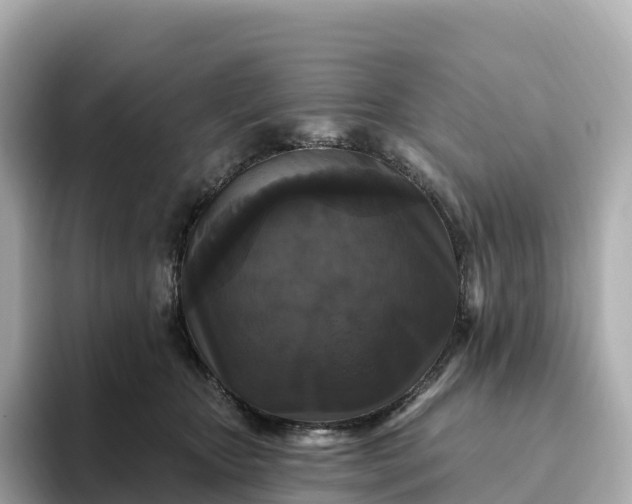 X0000093450467200710261104