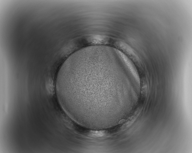 X0000093450469200710261105