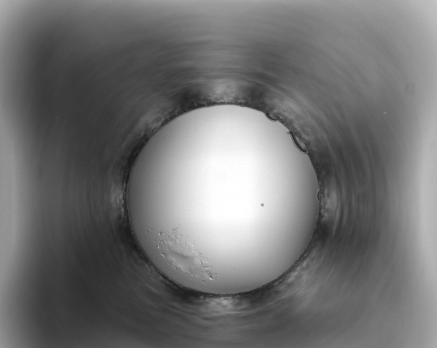 X0000093450473200710261105