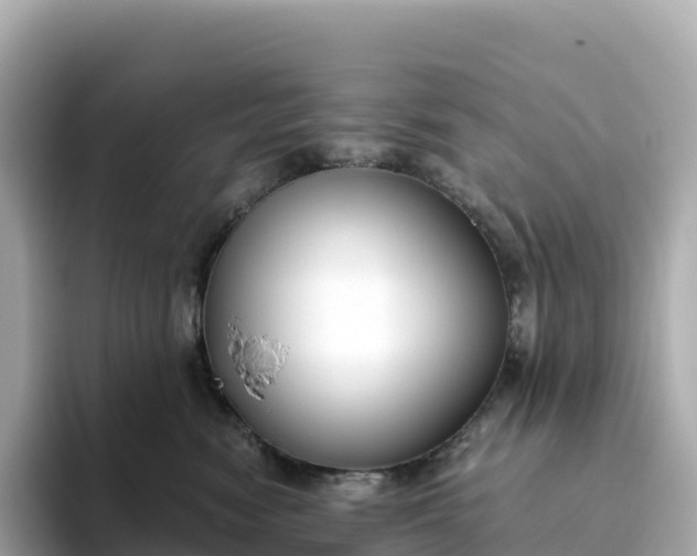 X0000093450474200710261105