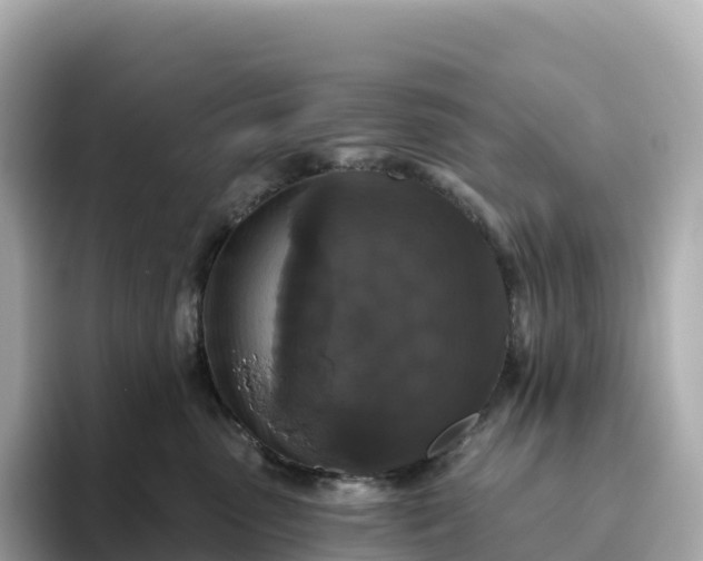 X0000093450475200710261105