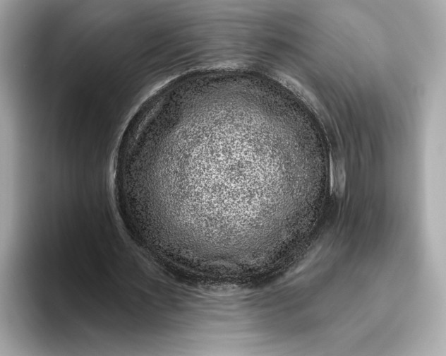 X0000093450483200710261104