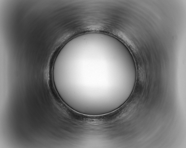 X0000093450486200710261104