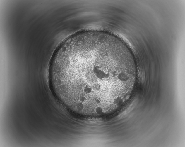 X0000093450487200710261104