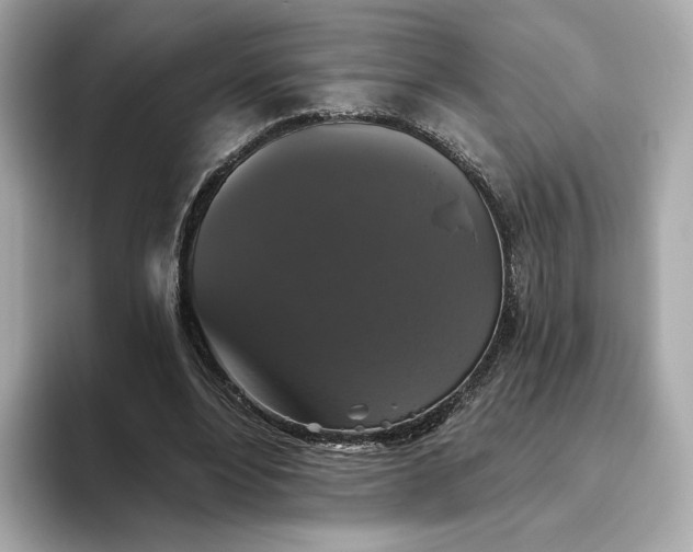 X0000093450488200710261104