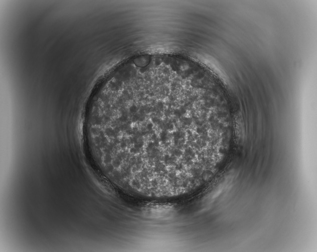 X0000093450491200710261104