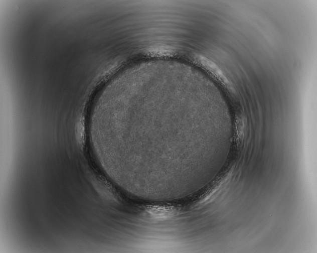 X0000093450494200710261104