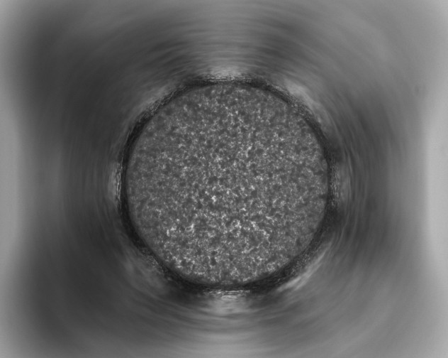 X0000093450495200710261104