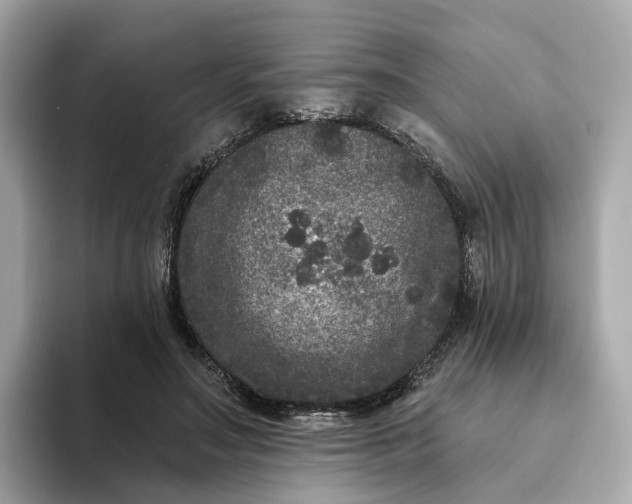 X0000093450499200710261104