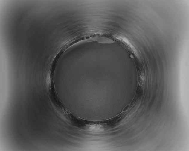 X0000093450500200710261104