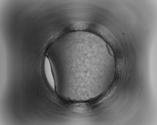 X0000093450501200710261104