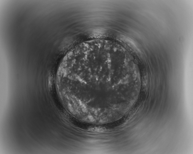 X0000093450503200710261104