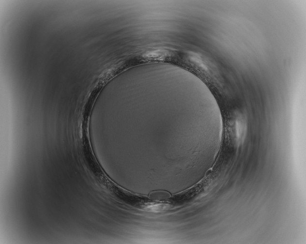 X0000093450504200710261104