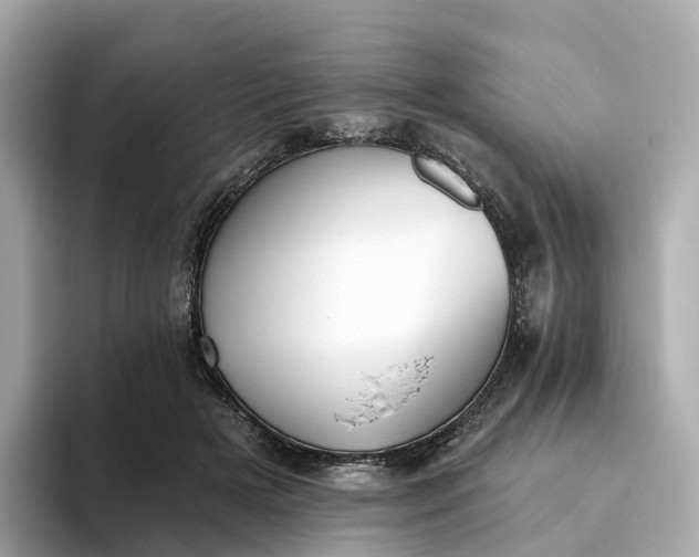 X0000093450505200710261104