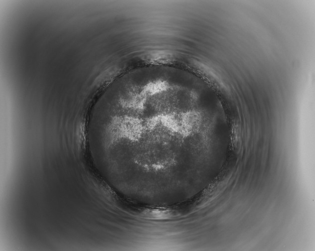 X0000093450506200710261104