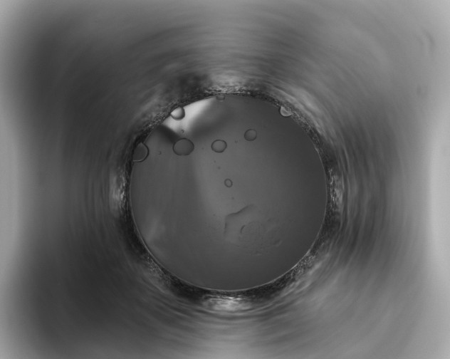 X0000093450507200710261104