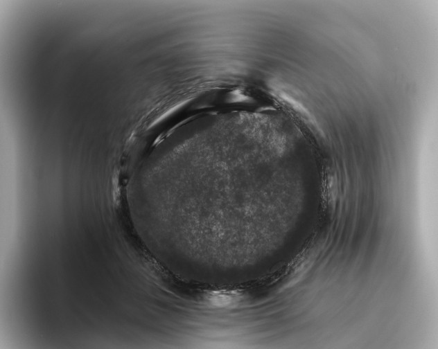 X0000093450508200710261104