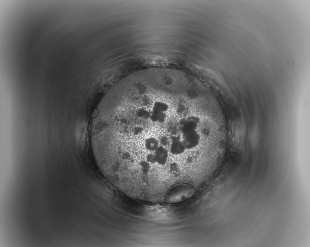 X0000093450511200710261104