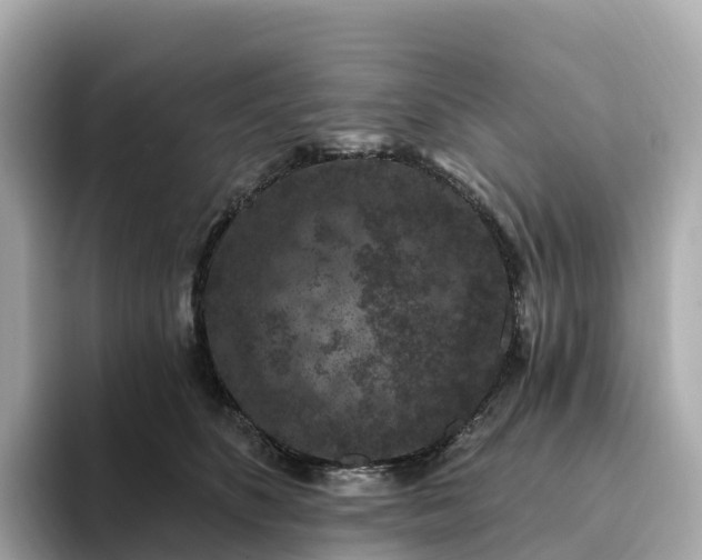 X0000093450516200710261104