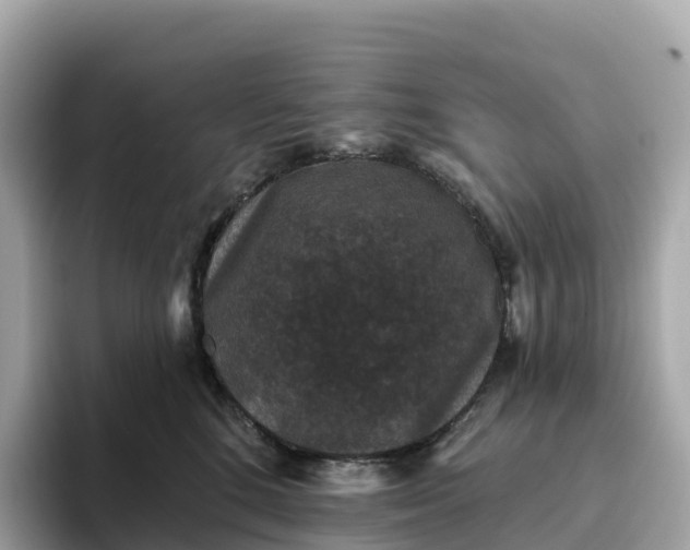 X0000093450520200710261104