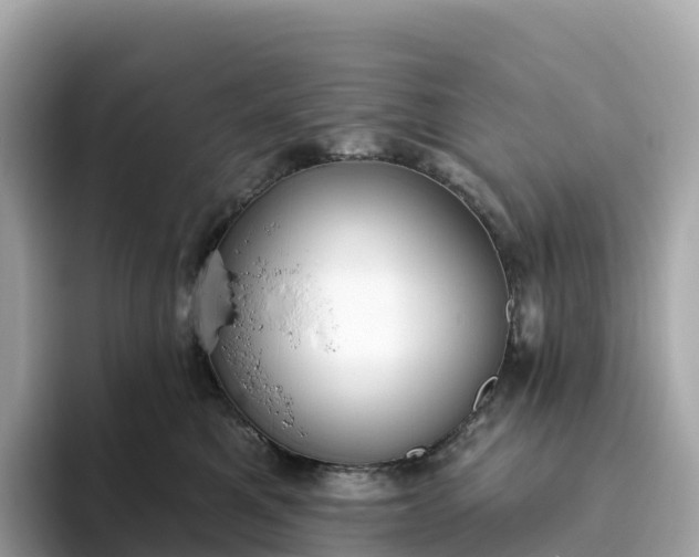 X0000093450521200710261104