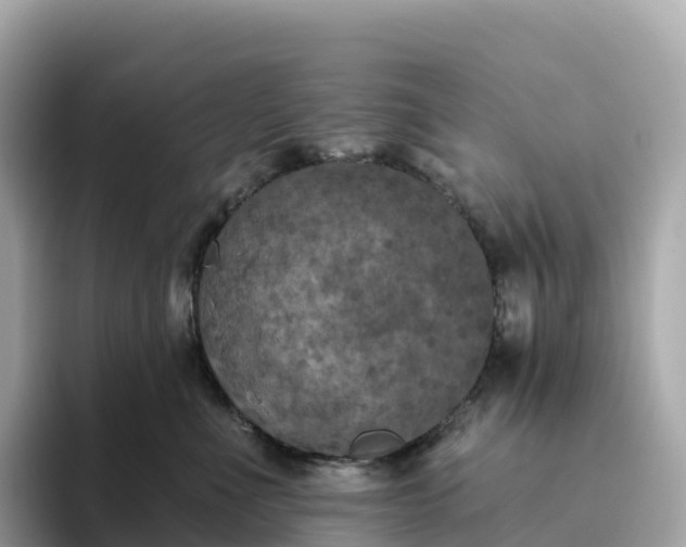 X0000093450523200710261103