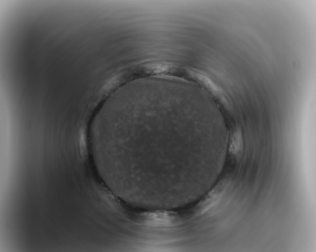 X0000093450524200710261103