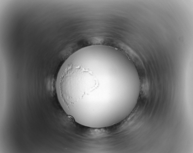 X0000093450525200710261103