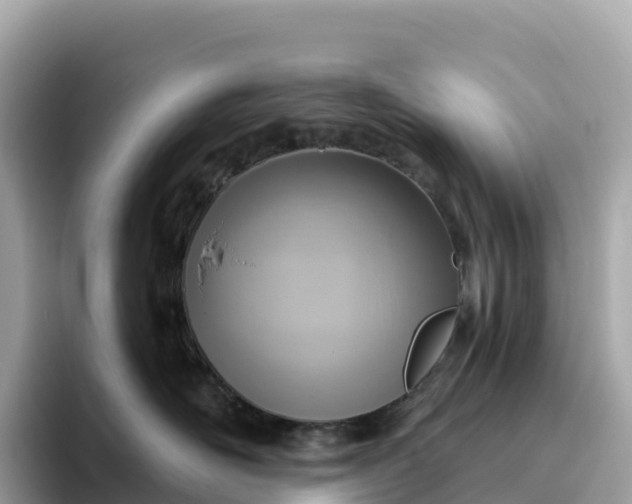 X0000093450526200710261103