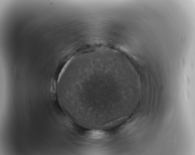 X0000093450528200710261103