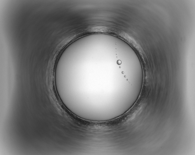 X0000093450529200710261103